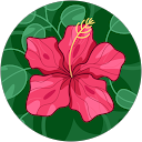 lisa squance profile picture